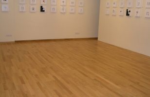 canary museum 2